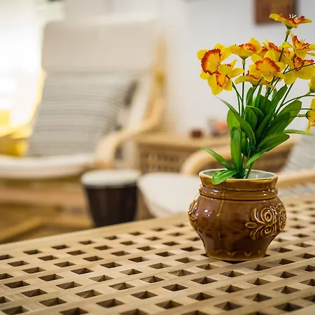 Hostal Pijama Plovdiv